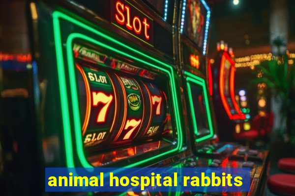 animal hospital rabbits